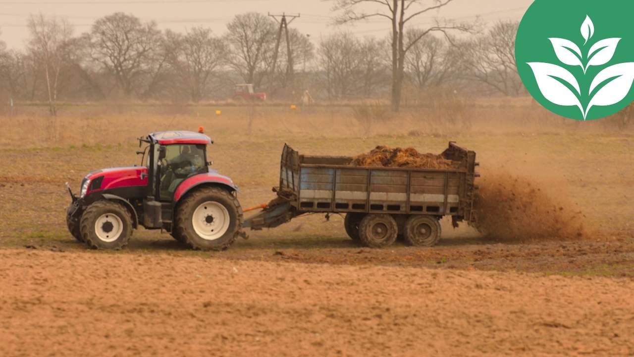 Investigadores sorprendidos tras analizar tierras agrícolas tratadas solo con fertilizantes durante décadas